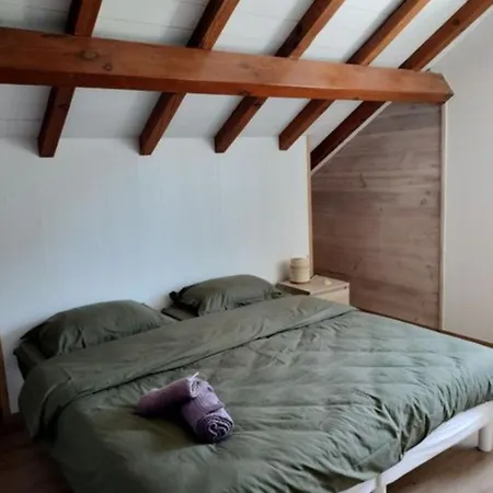 Maison Bel Air * Moliets-et-Maa