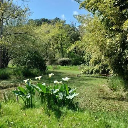 Maison Bel Air موليات-إي-ما