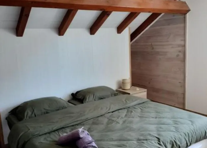 Maison Bel Air * Moliets-et-Maa