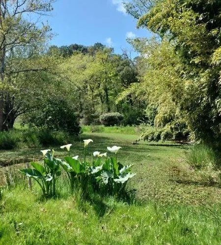 Maison Bel Air Moliets-et-Maa